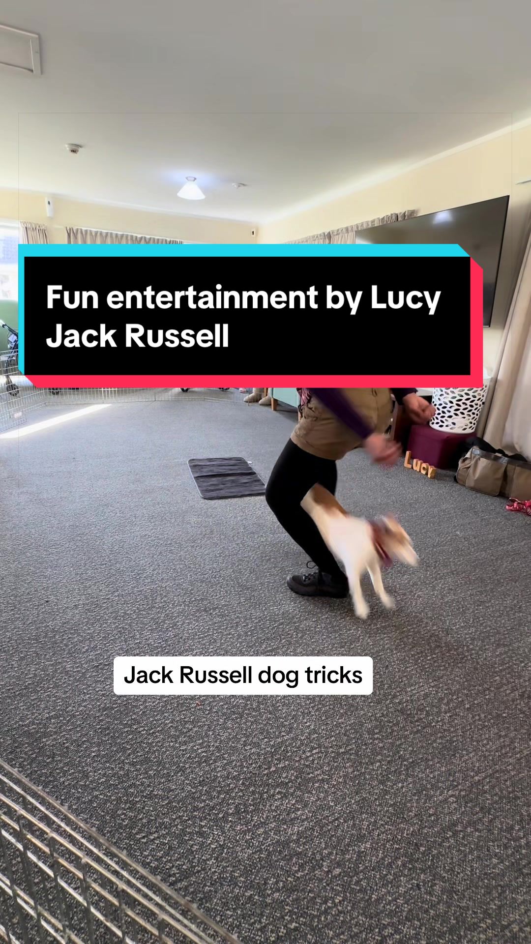 @lucygoosey379