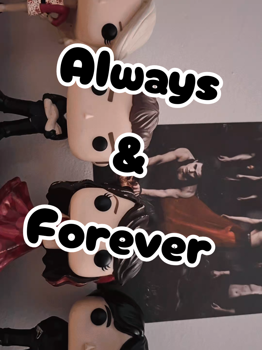 @Funko.Diaries