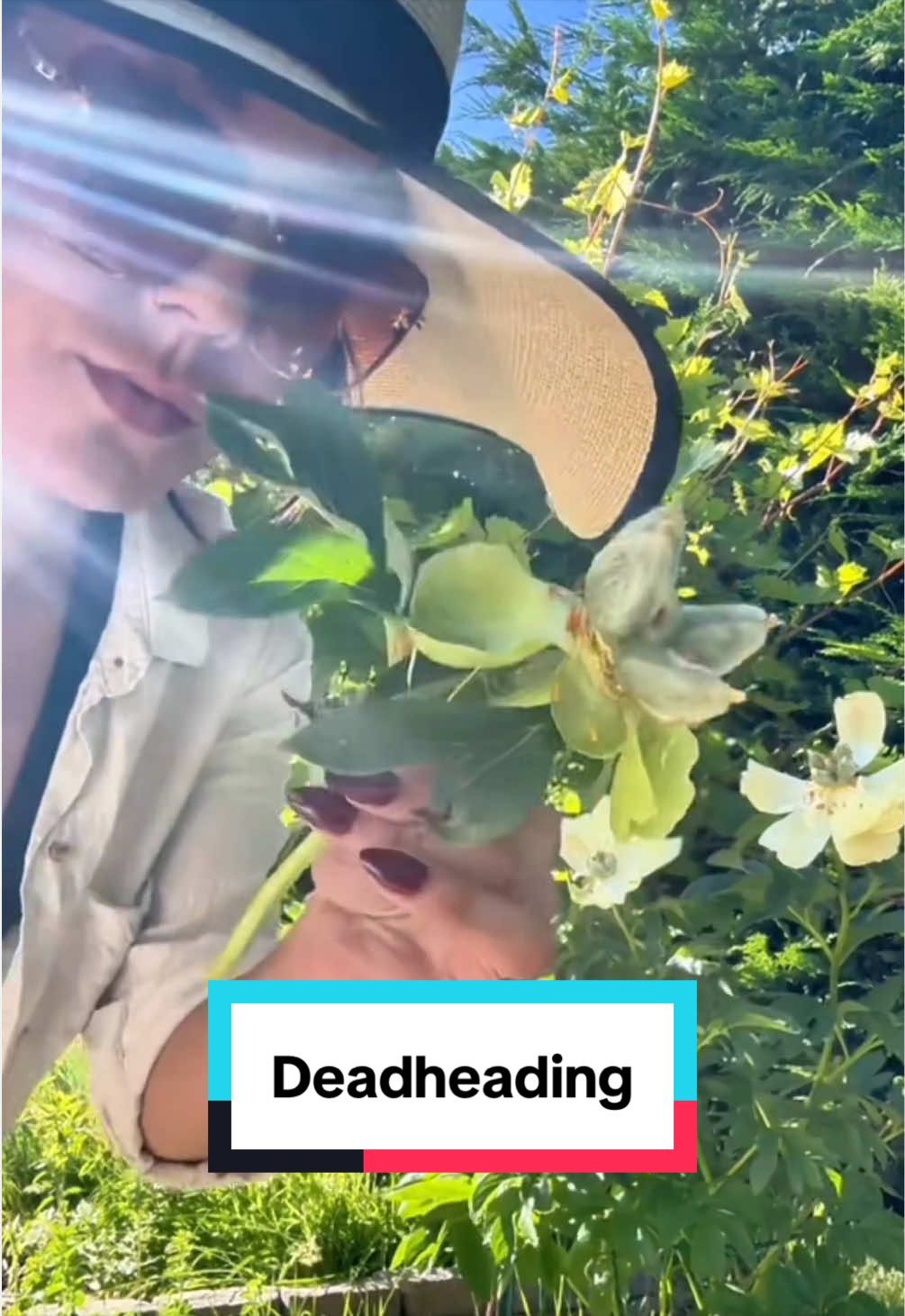 @Ava Dahlia 🇨🇦👩&zwj;🌾✌️