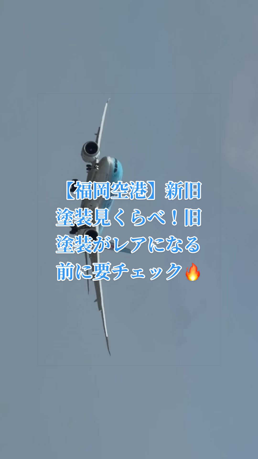 @✈️トト旦