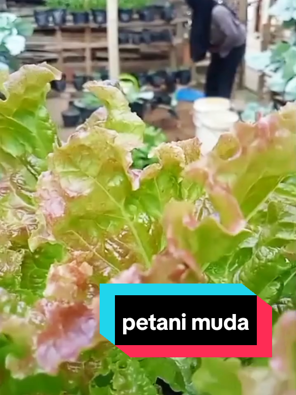 @Prihatini2512