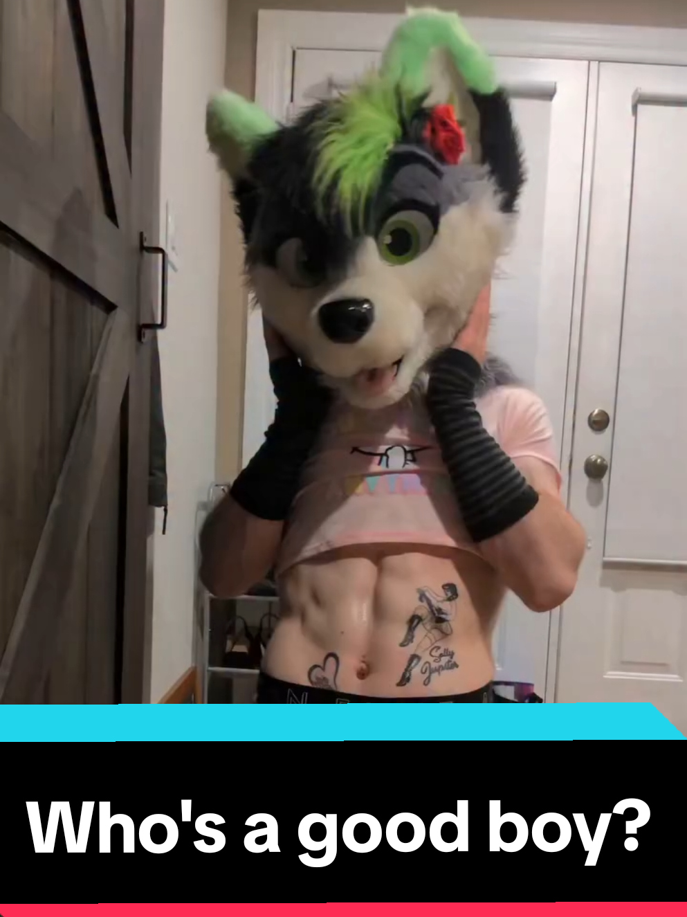 @Firefly Wolfy