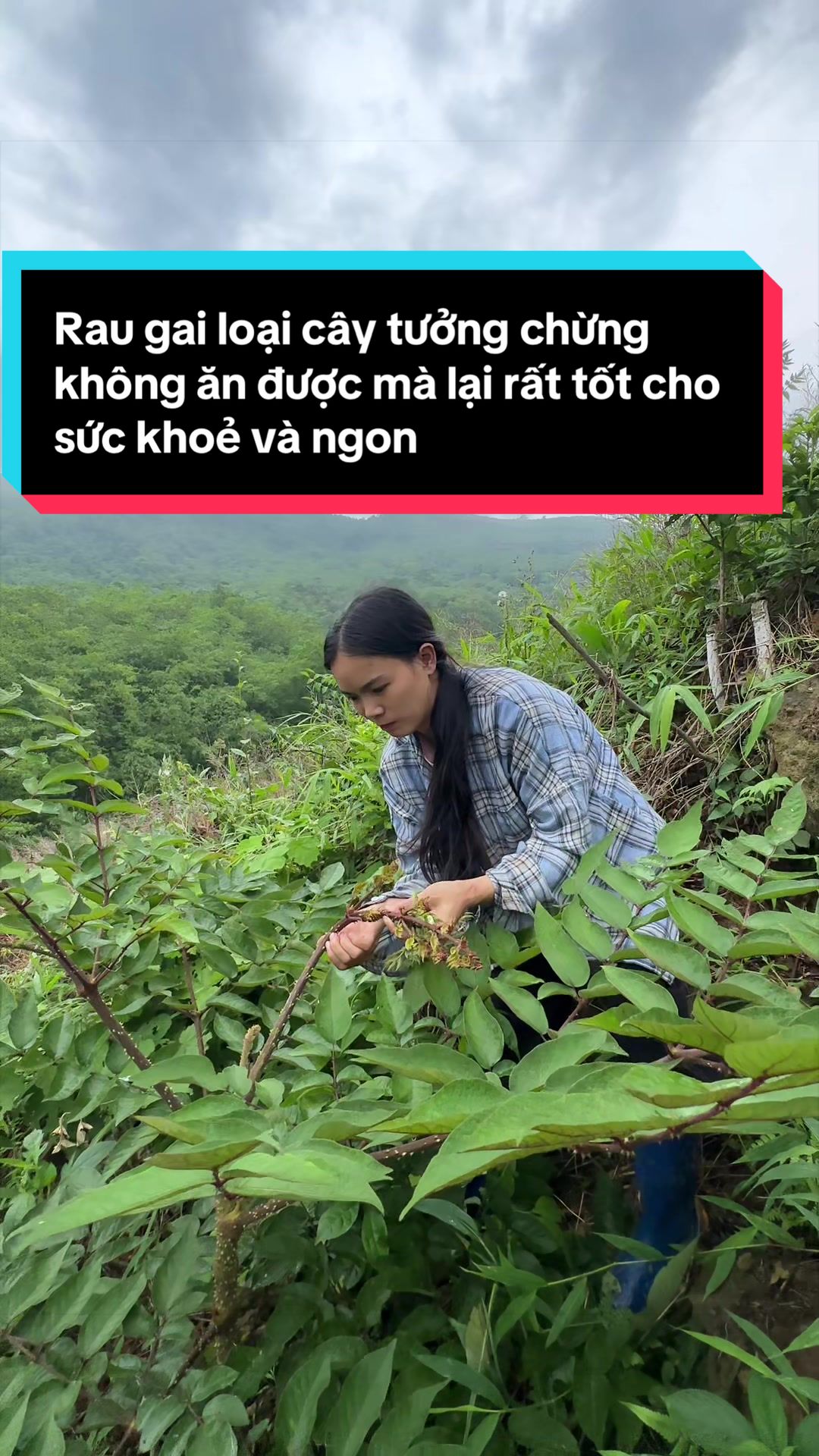 @Nhi Dao Đỏ
