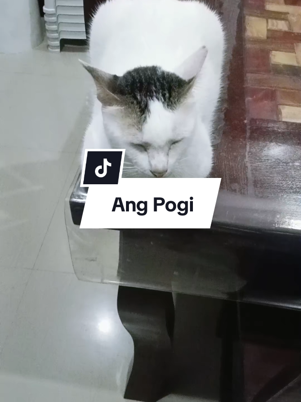 @inday alicia