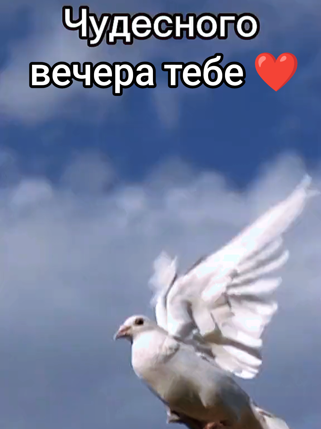 @ЕленаУтро