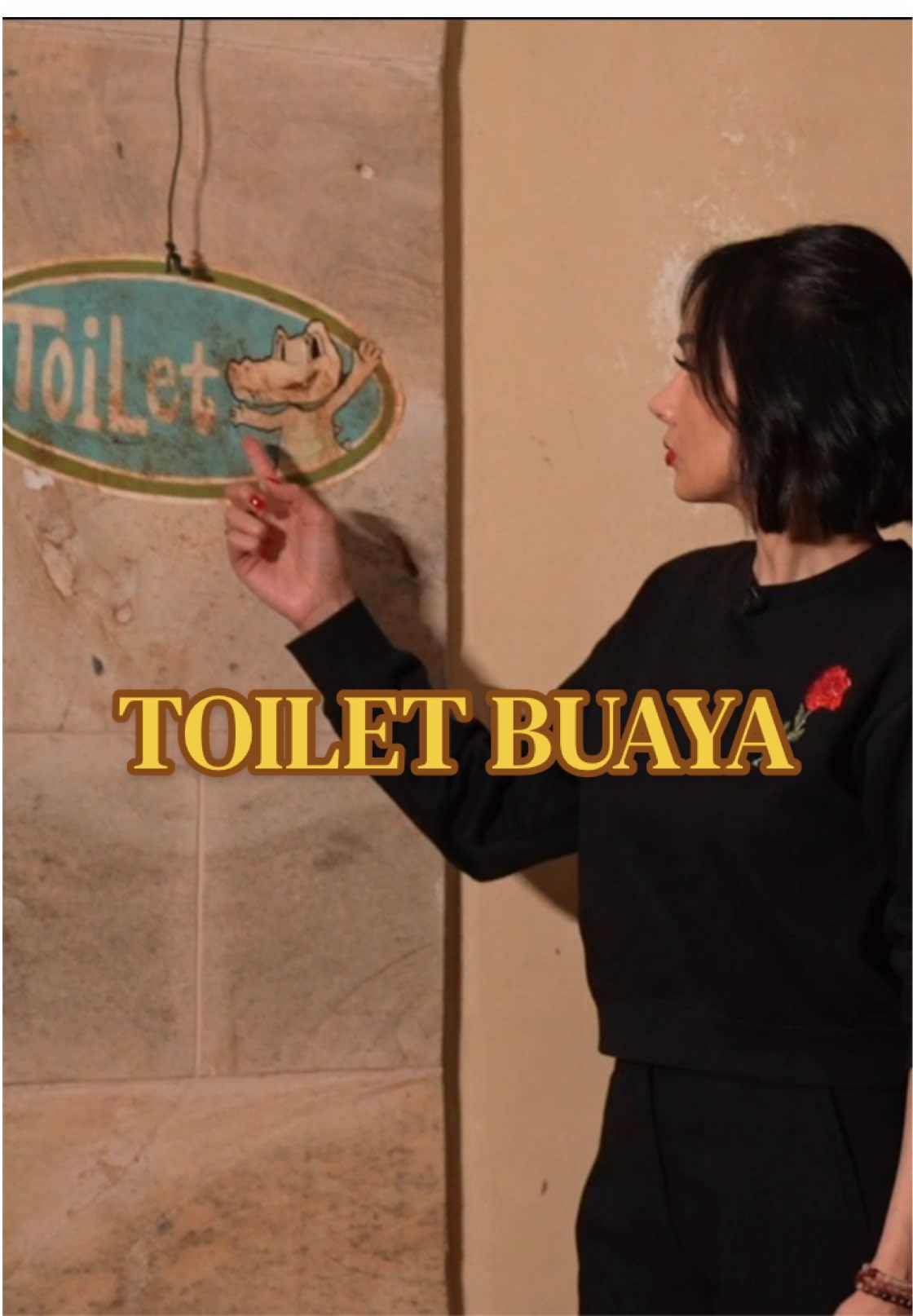 @DIARYMISTERISARA