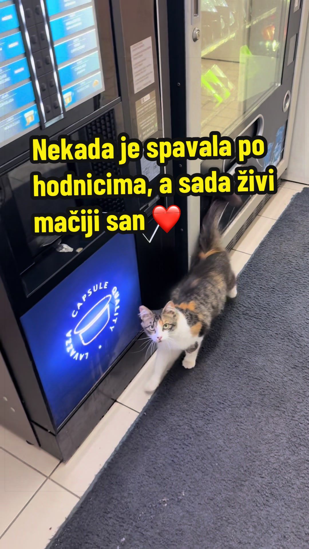 @Maja Kovijanic