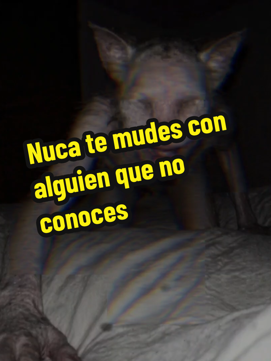 @El diario de coraje