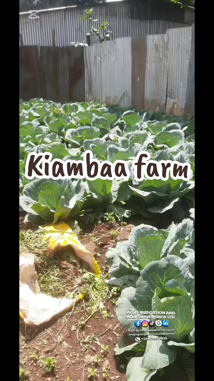 @Agri-Irrigation Africa Limited