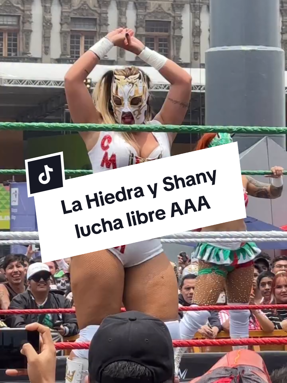 @Damas&Gladiadores Lucha Libre