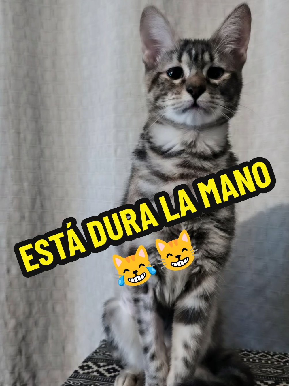 @TITA y RHODESIA