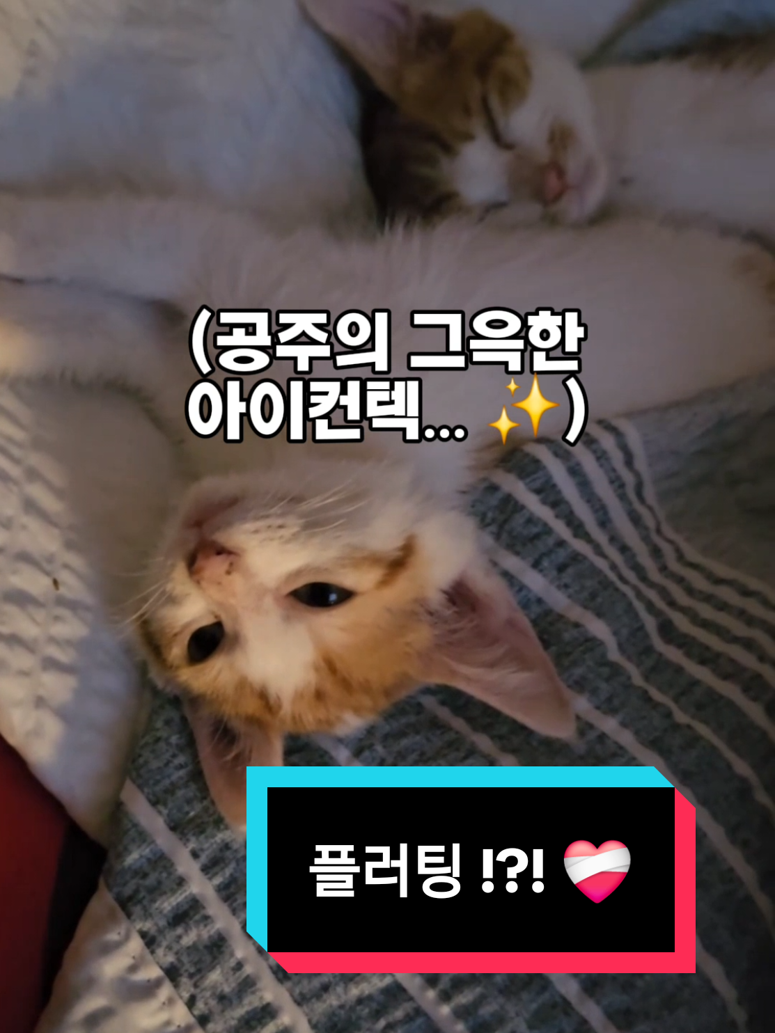 @๐ฉ์ด์์ฌ×234๐ฉ