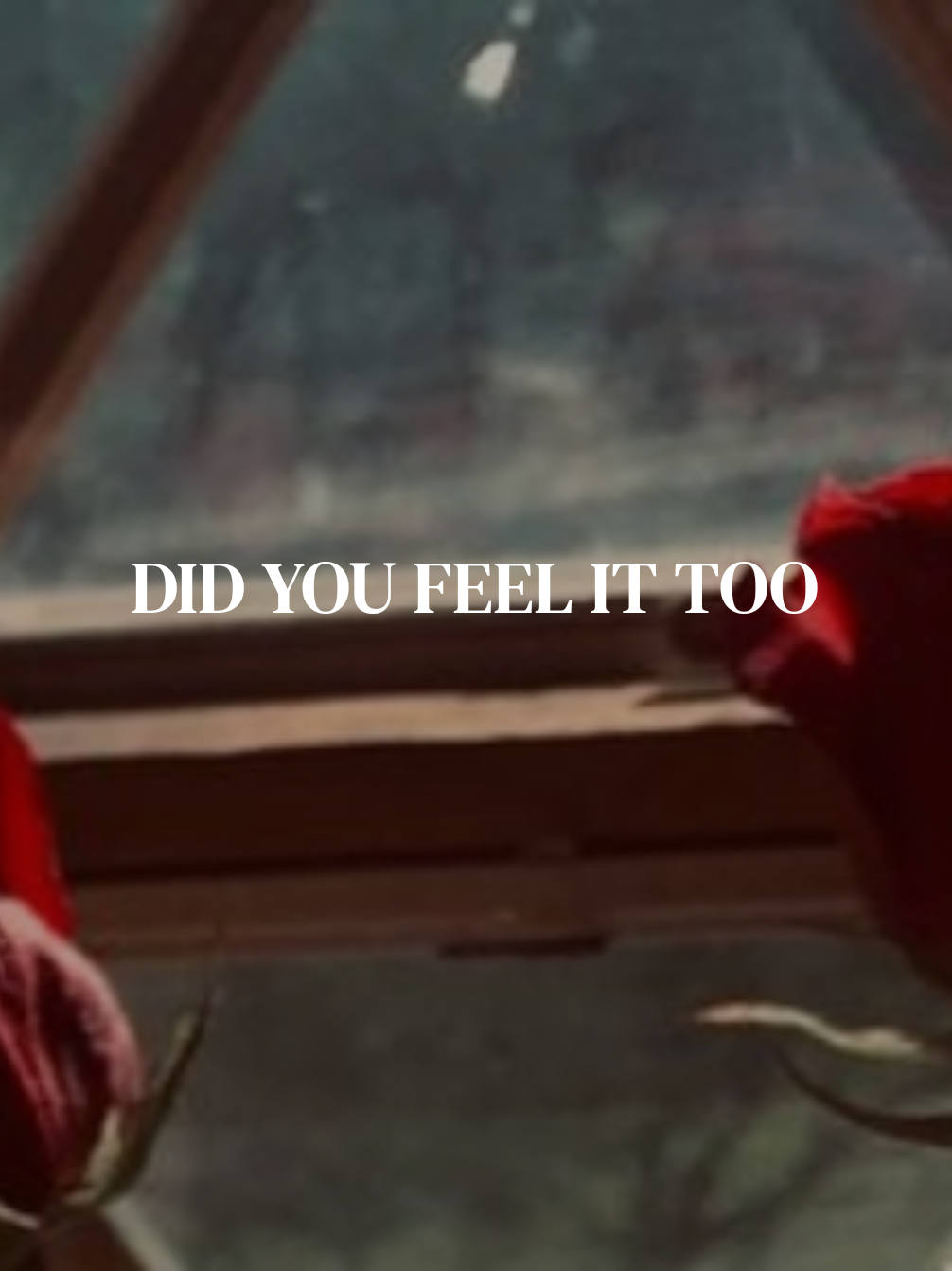 @❦ 𝐀𝐮𝐬𝐭𝐞𝐥
