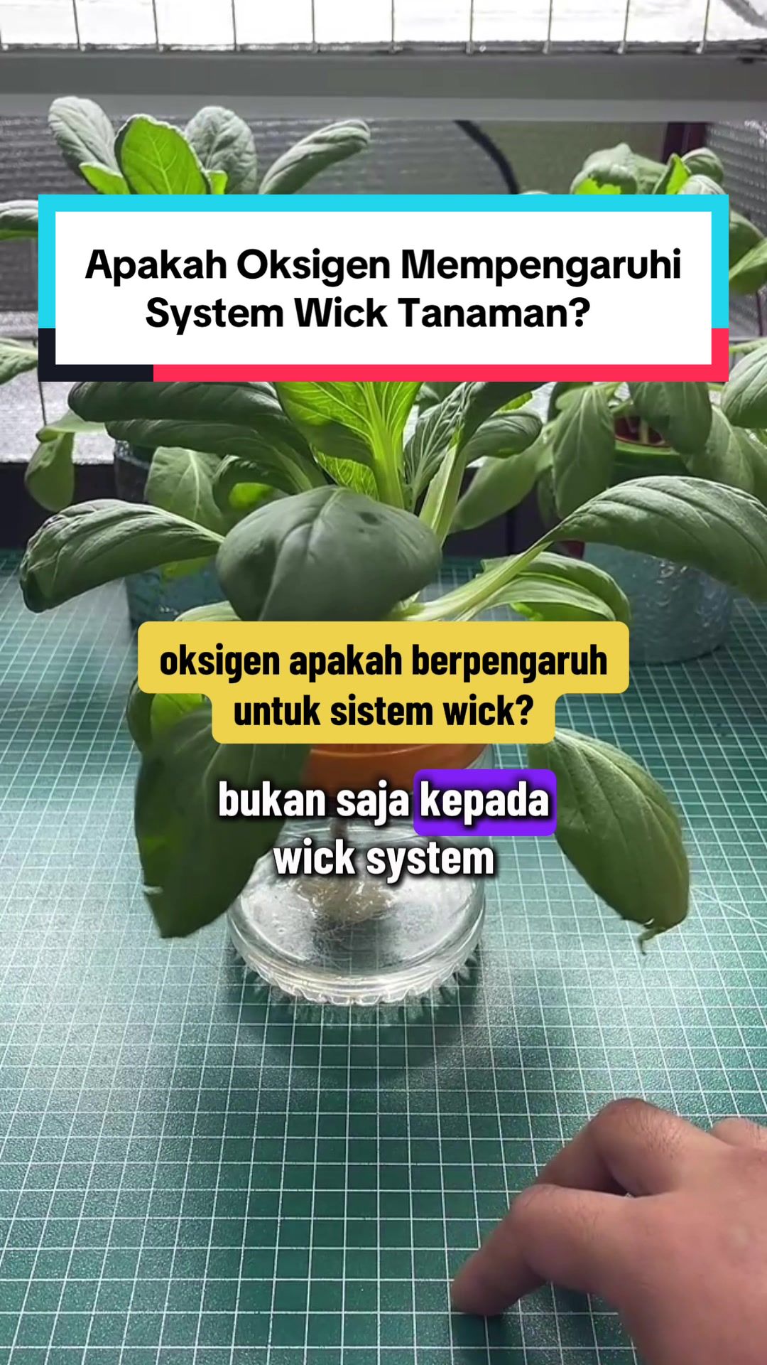 @Izat Aizie