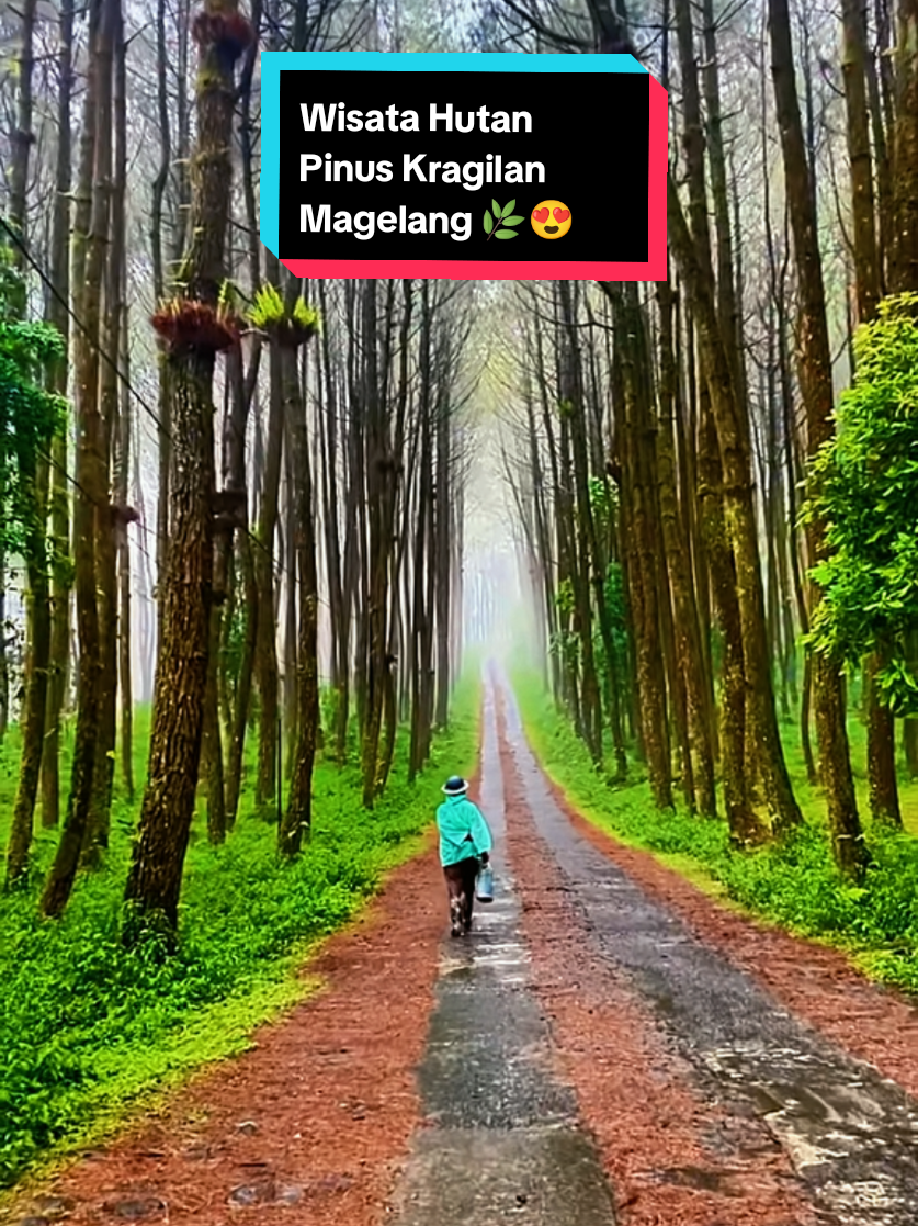 @mlampah2_57