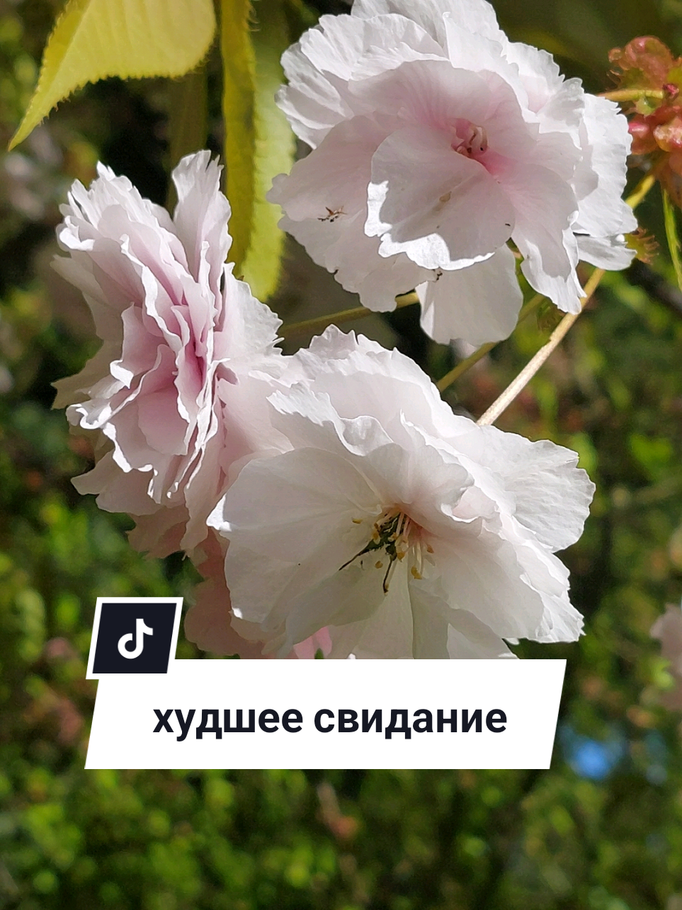 @Рыся✔️🇧🇾