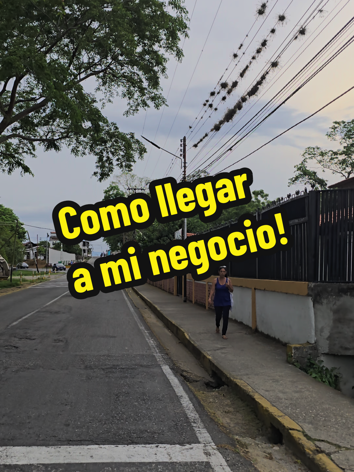 @LuilliVargas