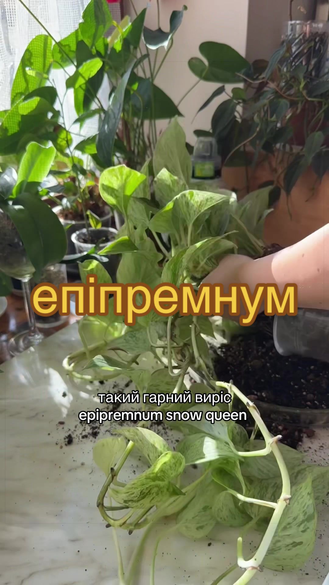@🧚леся🧚