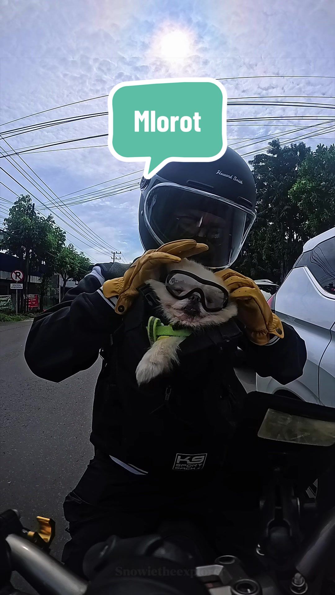 @snowietheexplorer