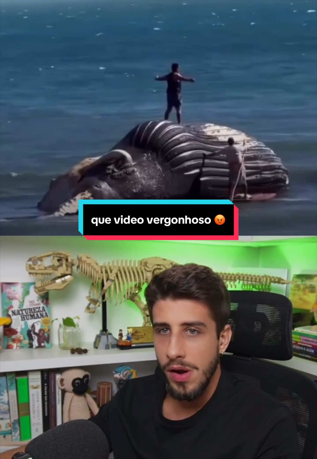 @Yago Stephano