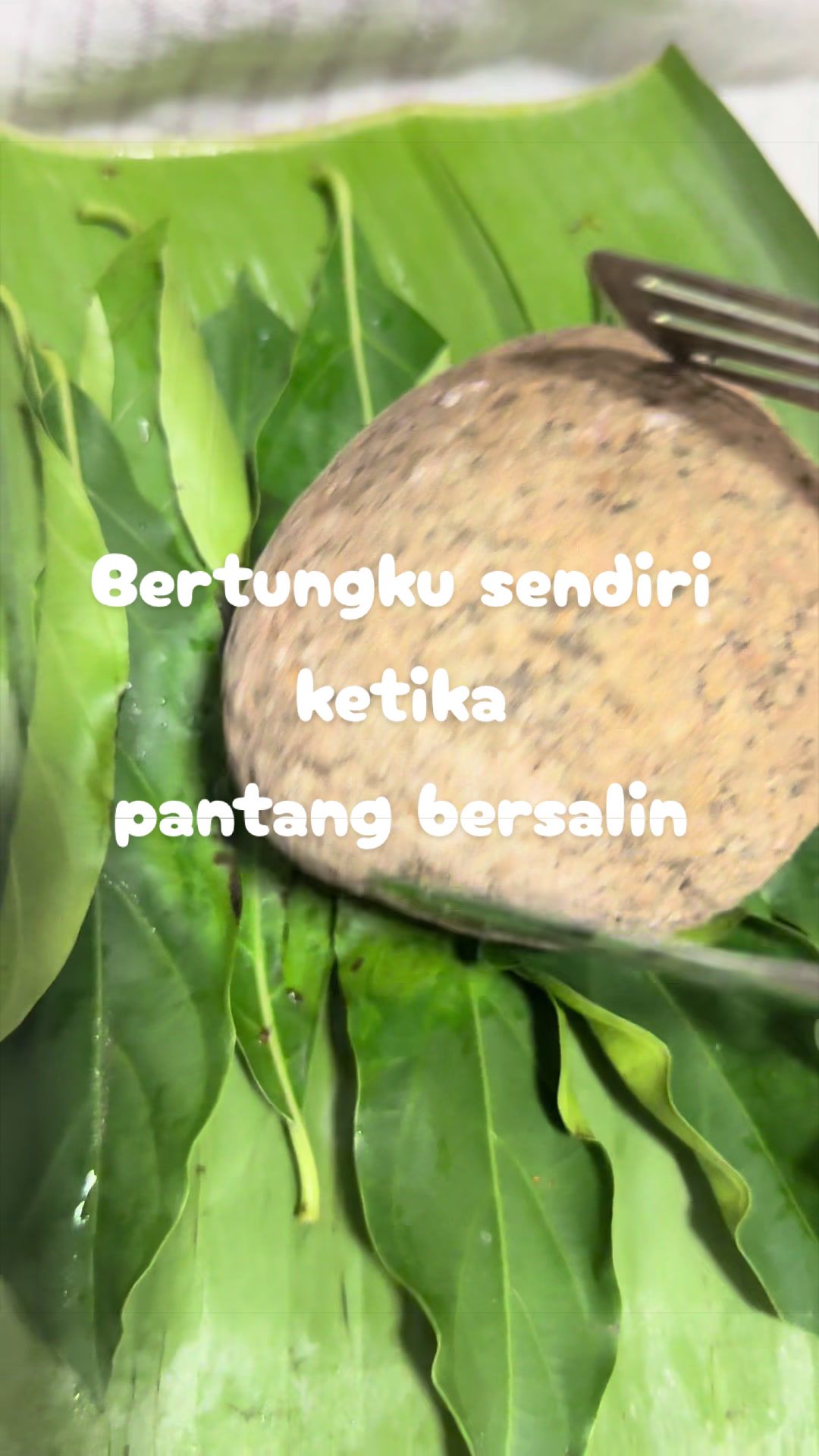 @ZELINDA