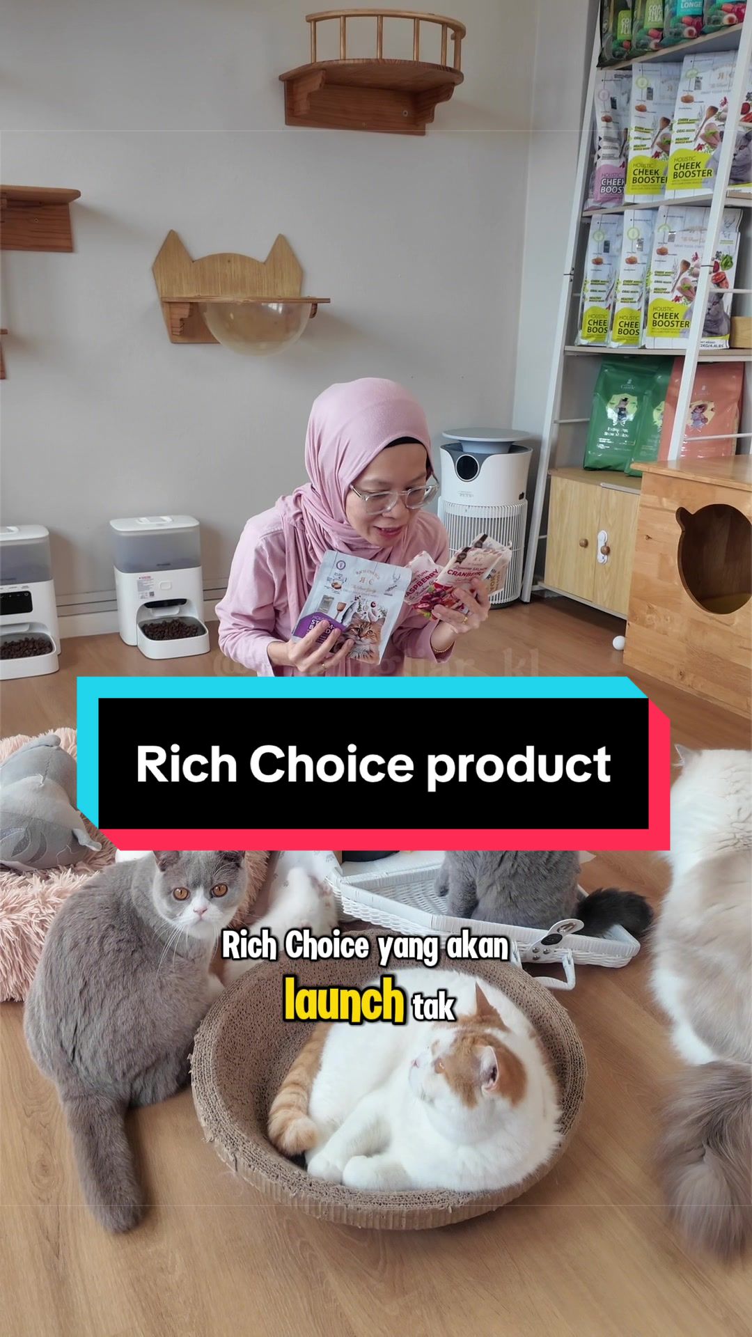 @kucingliar kl