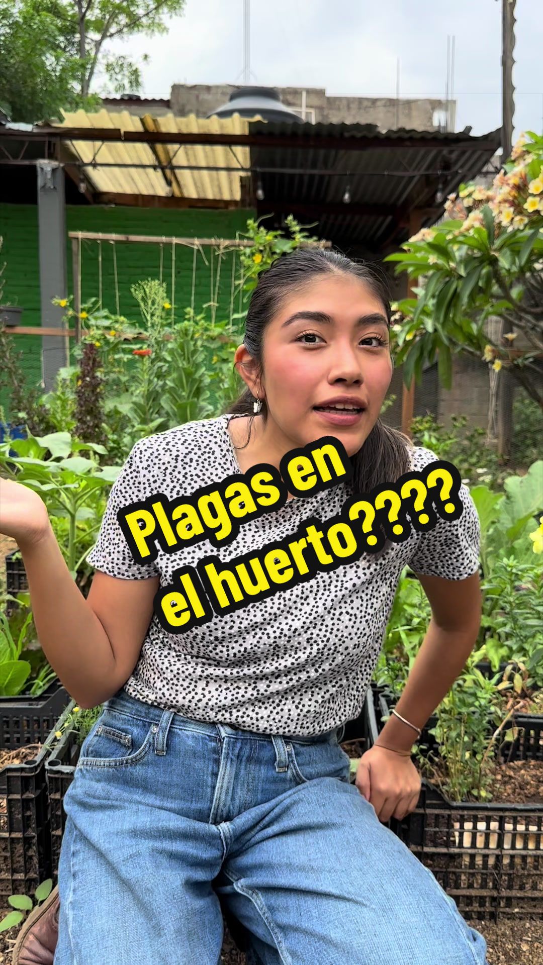@cultivaconkarla