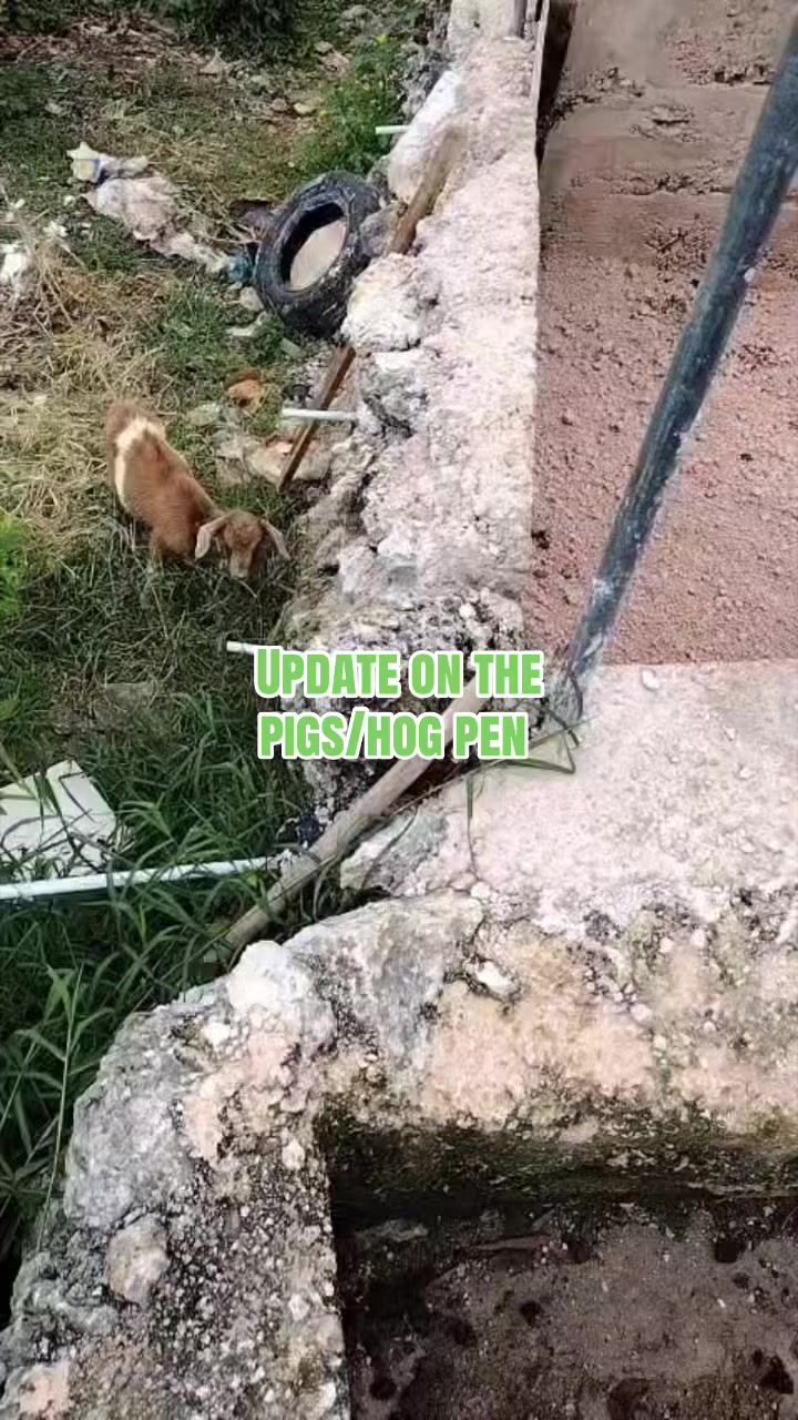 @Ripteez_Farm