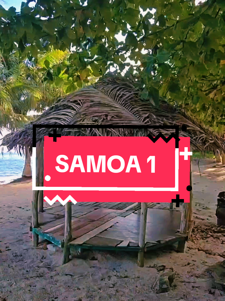 @teinemelody 🇼🇸🇫🇯✨️