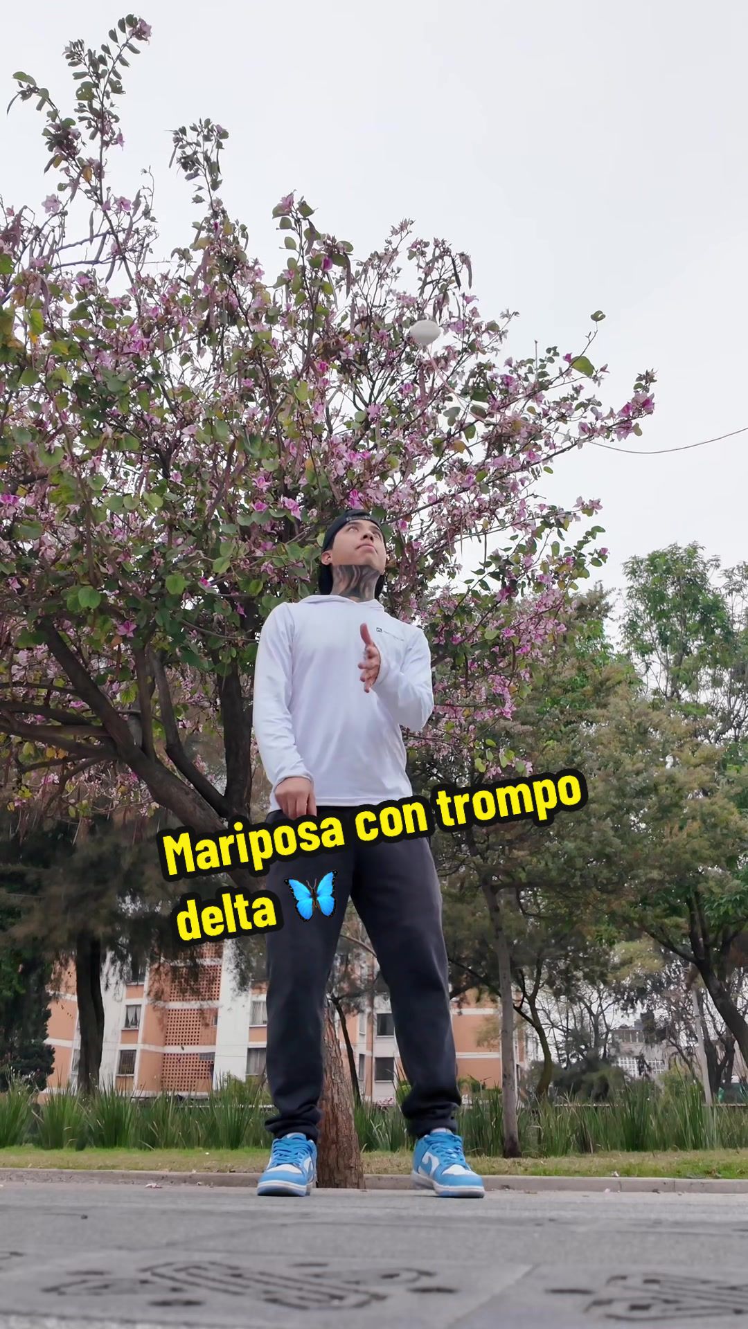@yahir Ortega