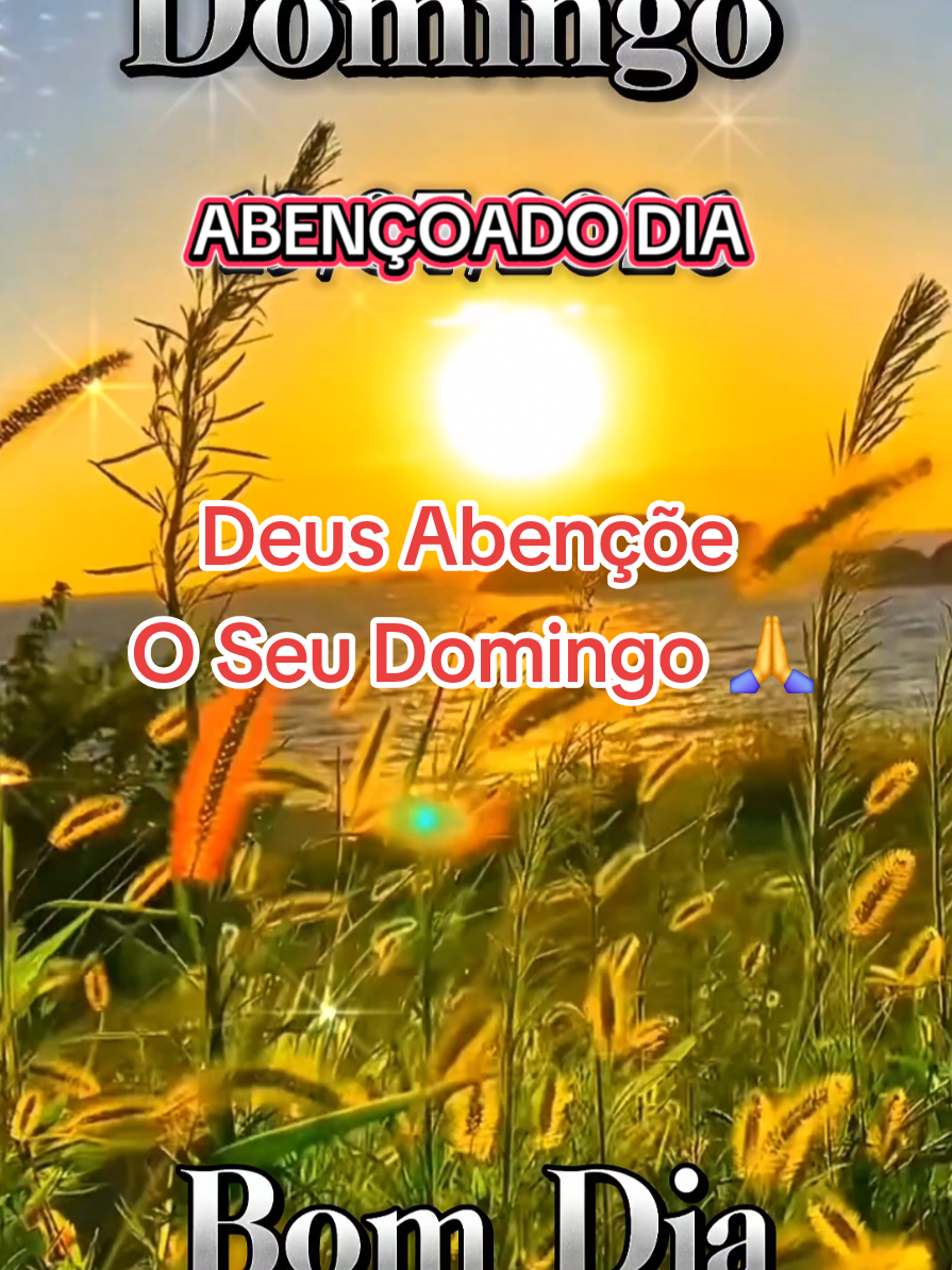 @César A. A. Santos