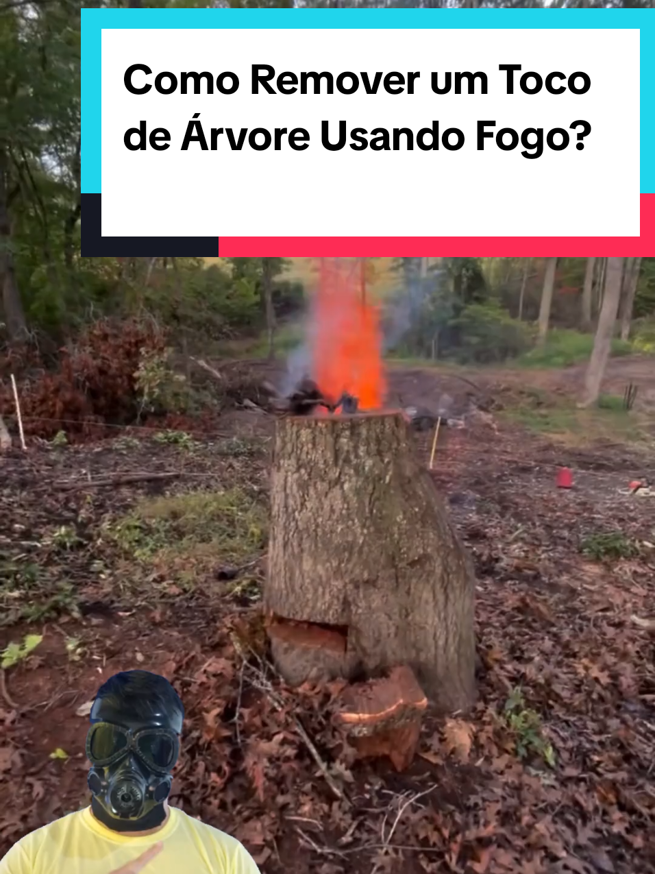 @Mundo da Curiosidades