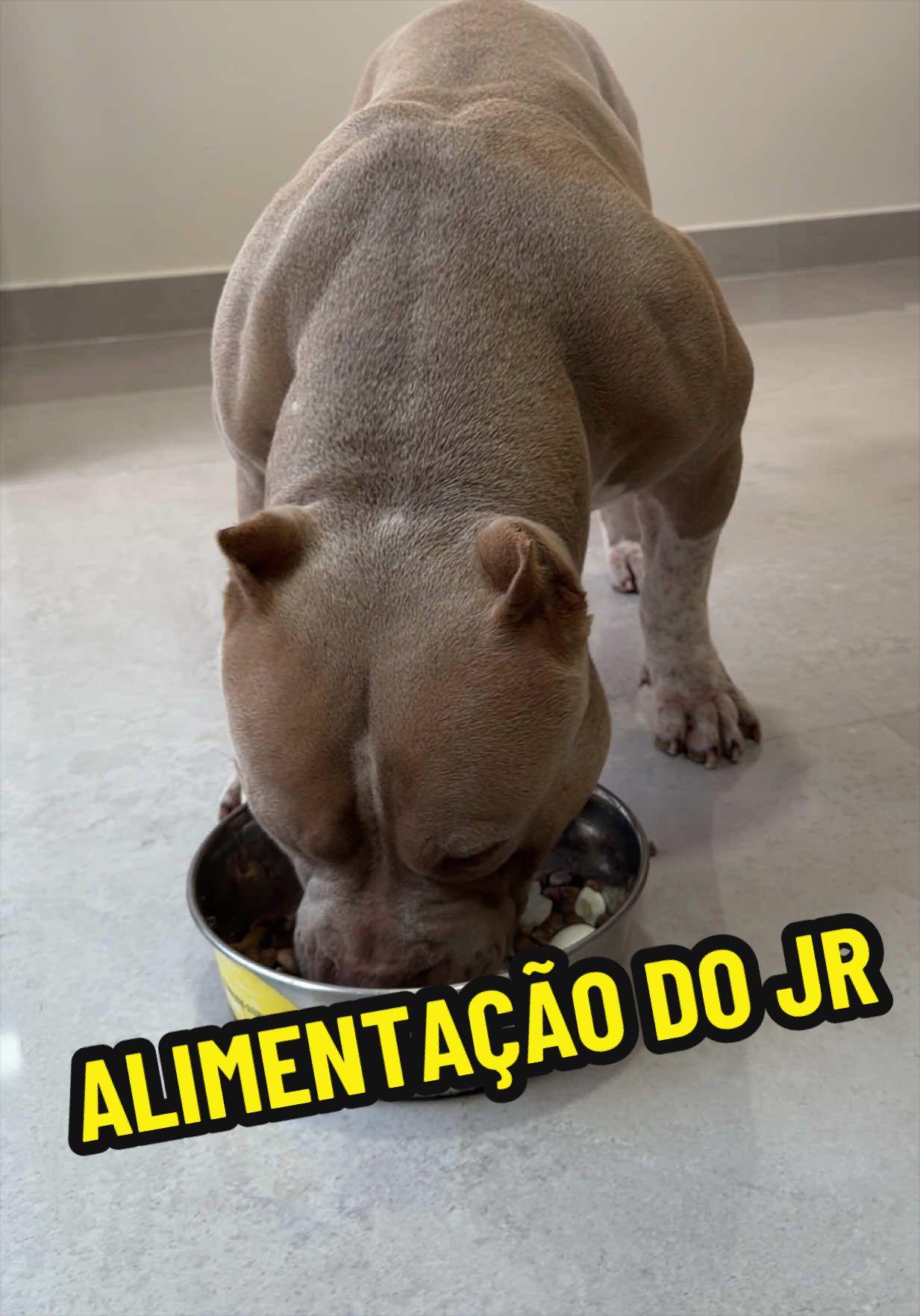 @Fam&iacute;lia Ragnar 🐶