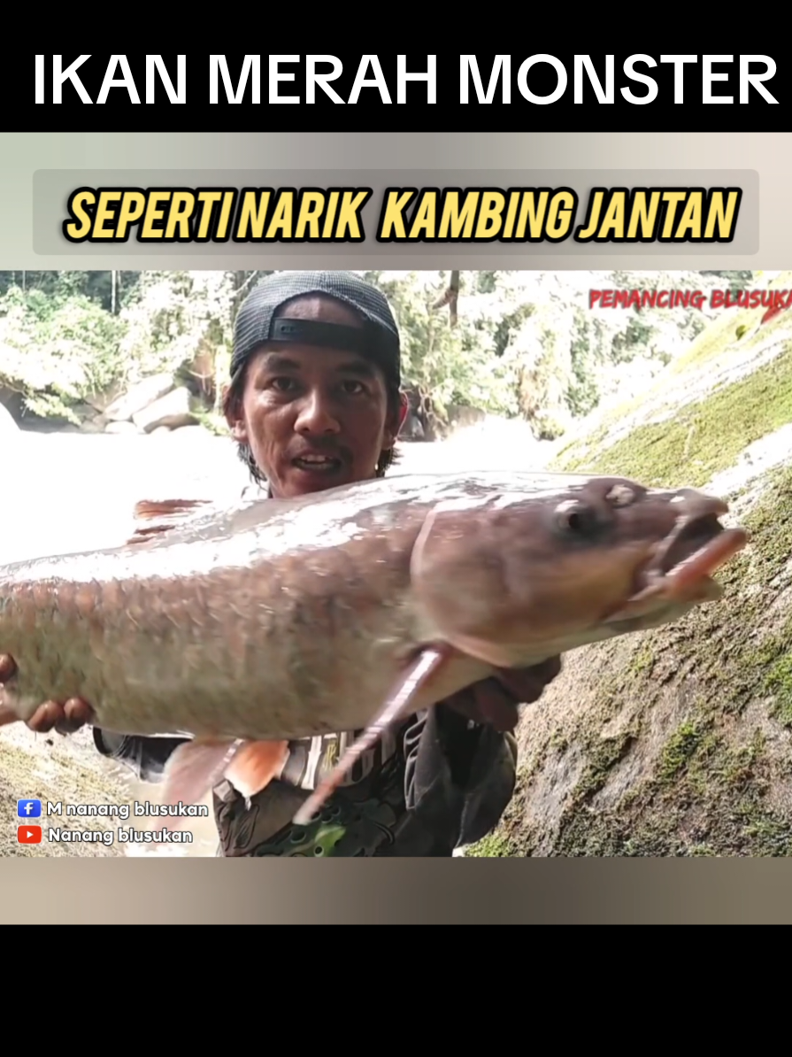 @Pemancing blusukan
