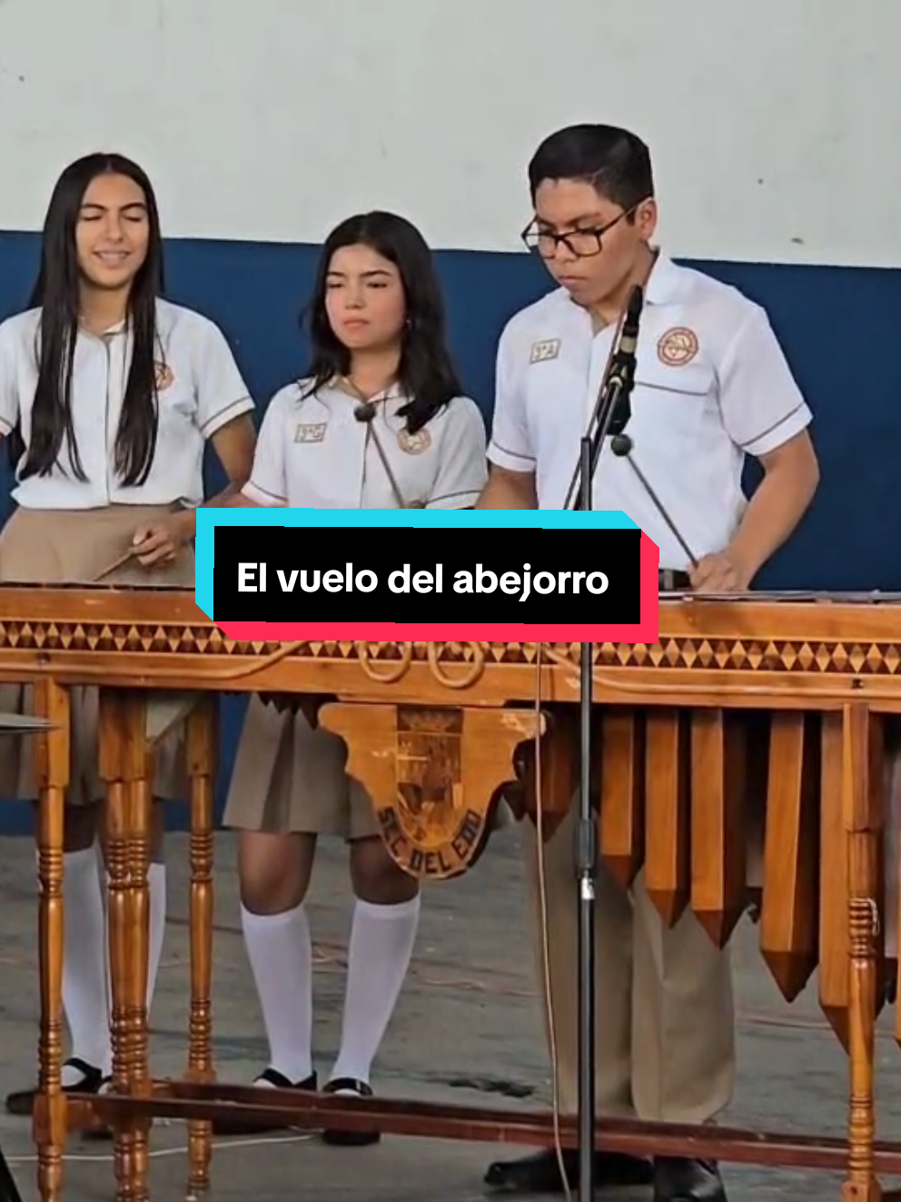 @@TutorialesDeMarimba