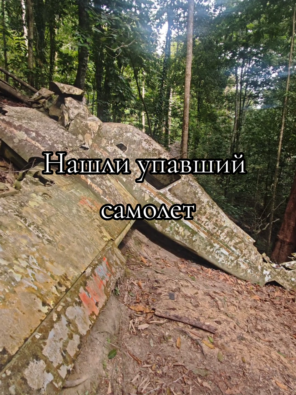 @Homatravel