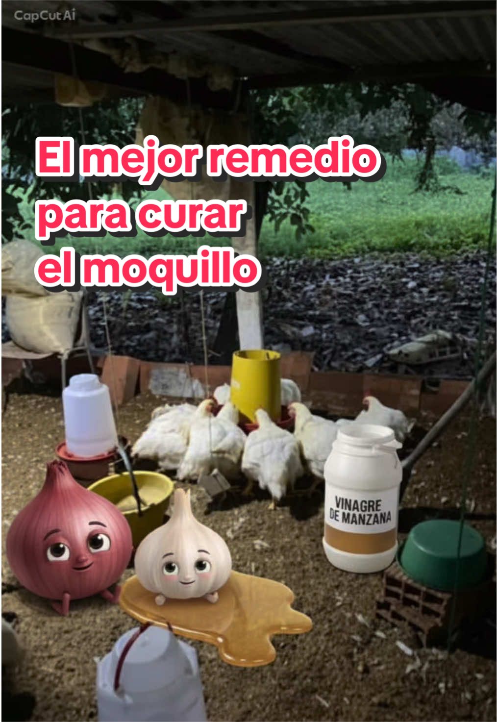 @elmagnatedelospollos