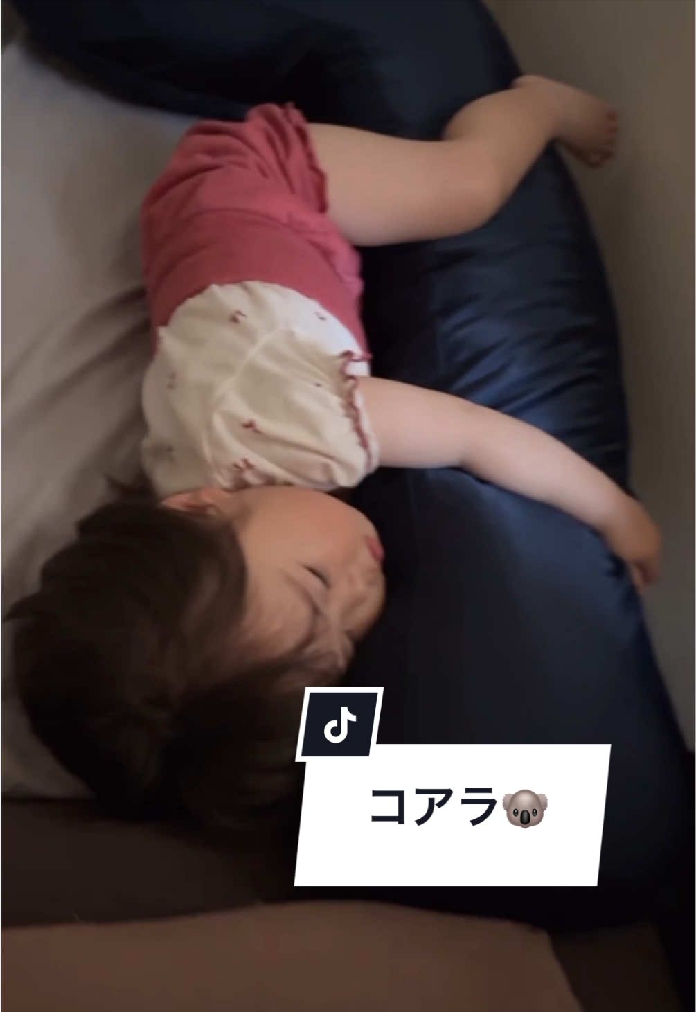 @さらパパ