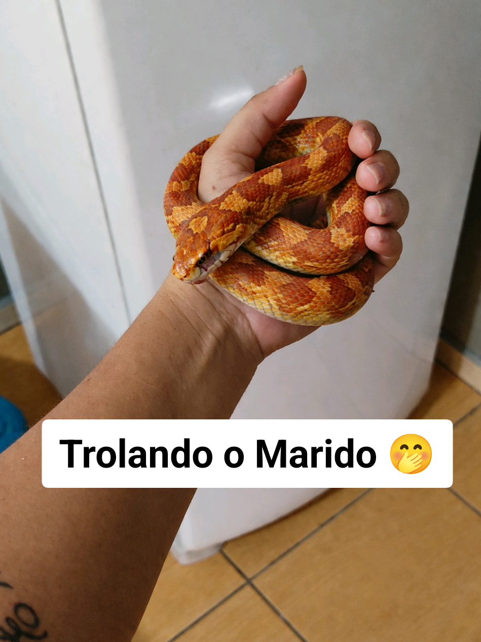 @Débora Amorim