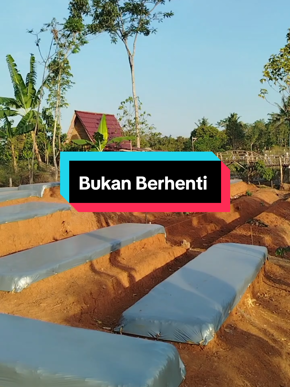 @SenimanPertanianCikancahTV