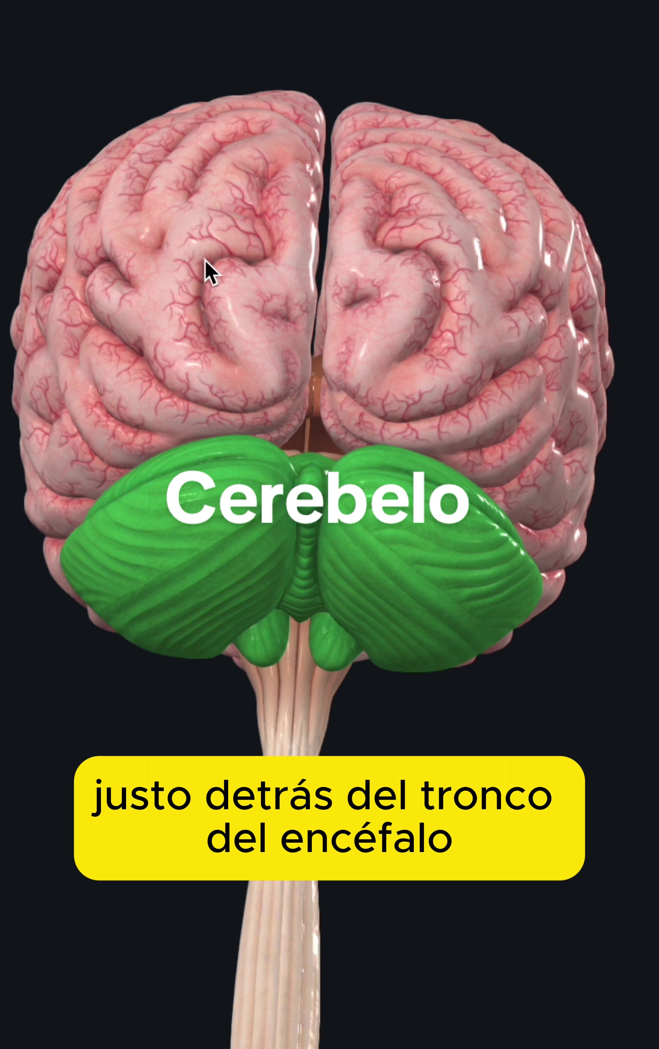 @Gerardo Montiel