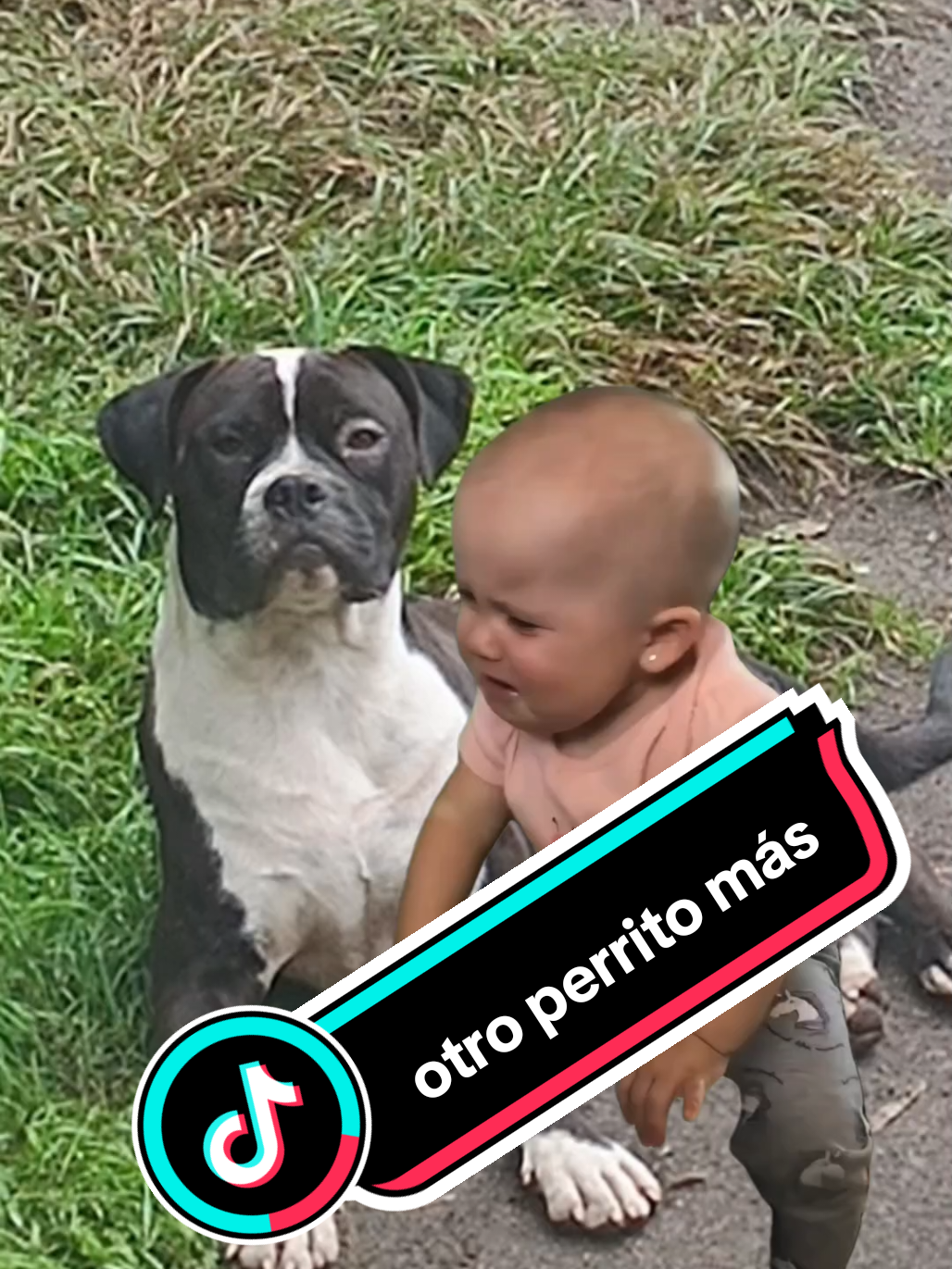 @V1V15 sanchez