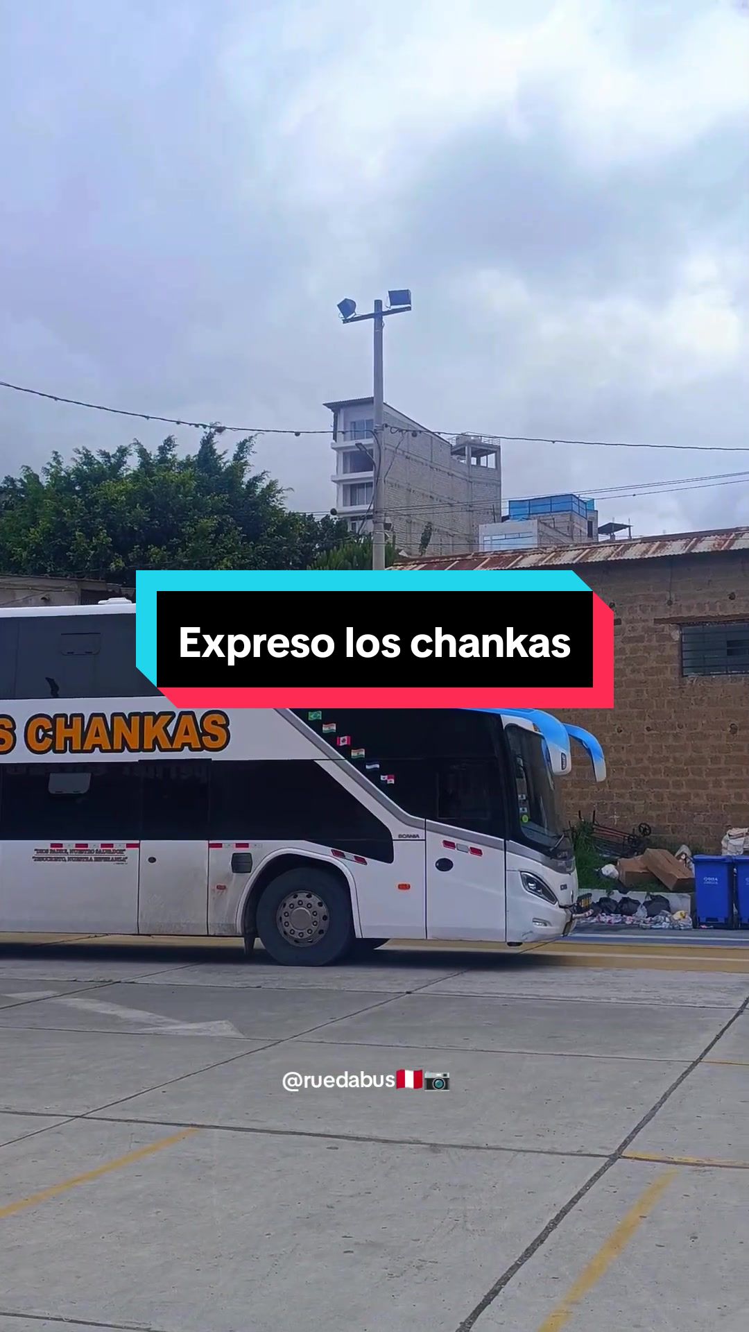 @Rueda Bus 🚎