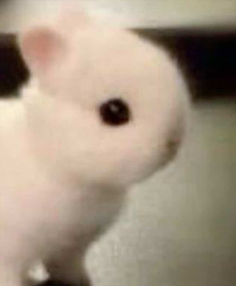 @mïhnoshæ