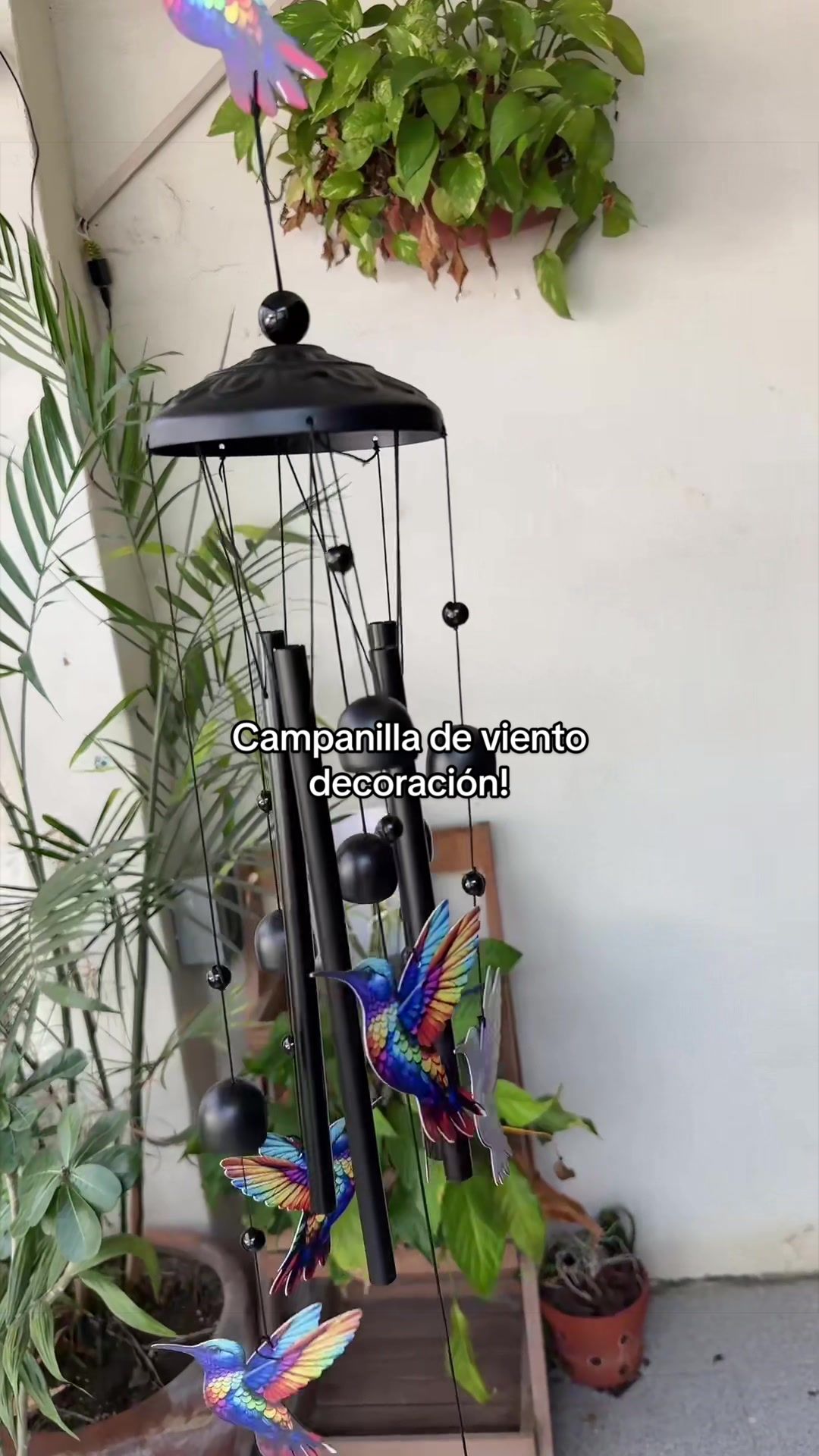 @li jo❤️ yoga girl 🧘🏻♀️✨❤️