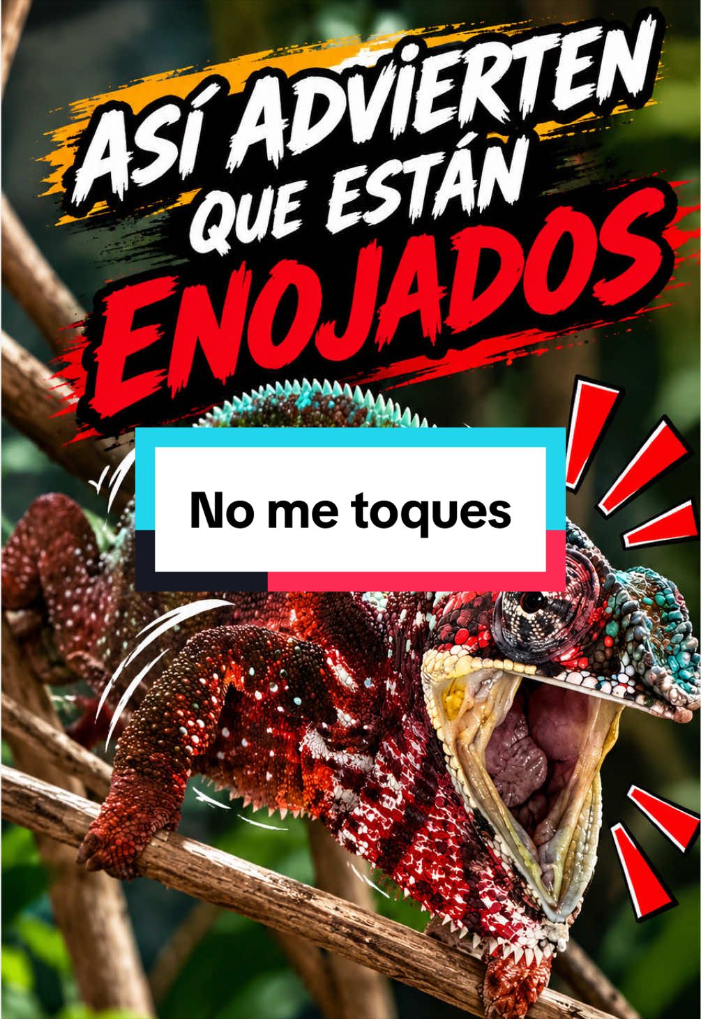 @ReptilMania