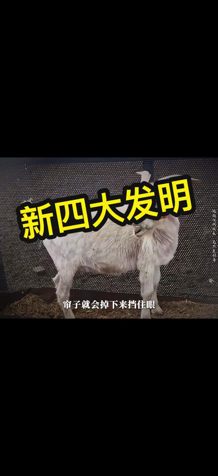 @casual_shuo