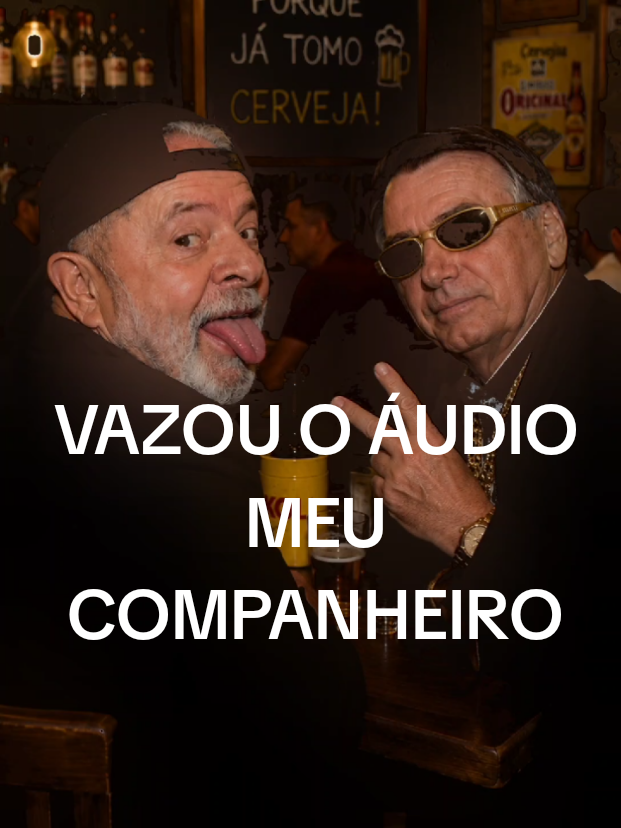 @Seta Loko