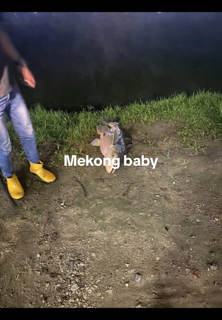 @PakaiNasi🍚