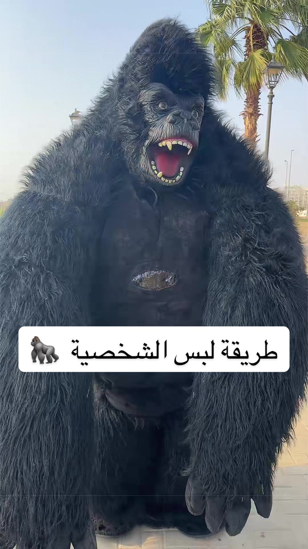 @بكوري مقدم فعاليات ومهرجانات
